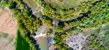 Segre-Noguera Ribagorçana Confluence Natural Area
